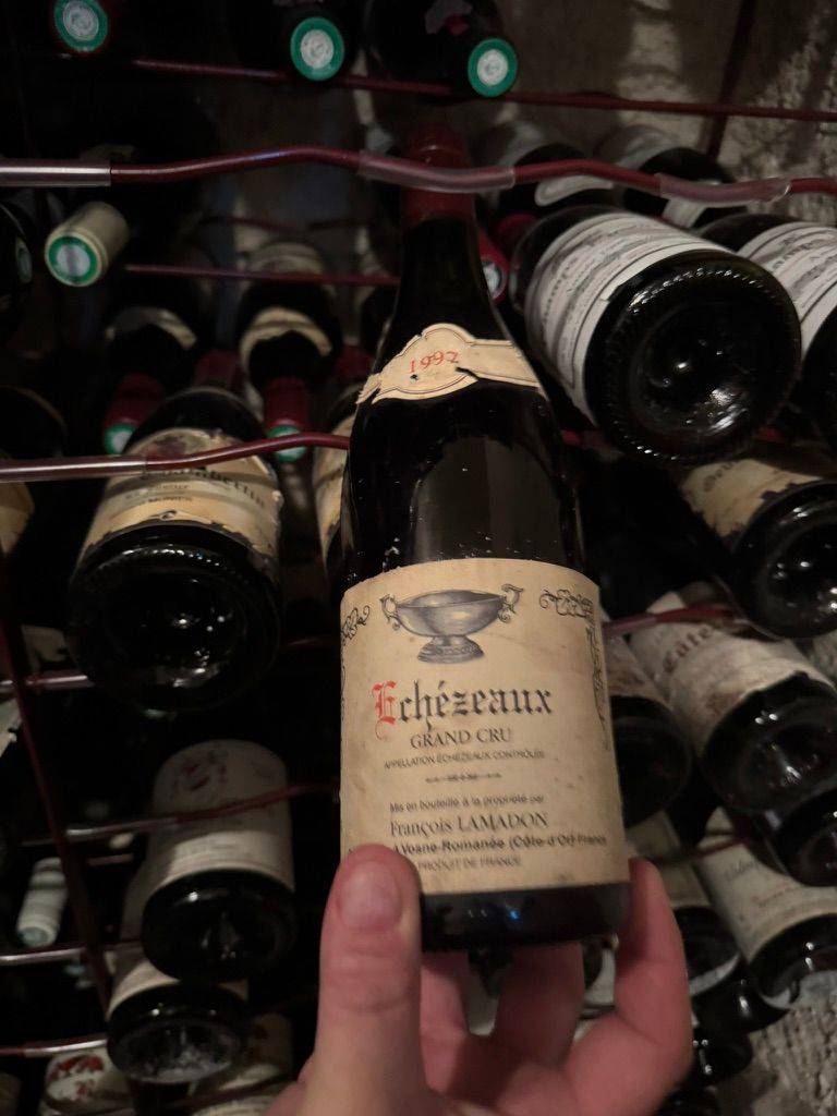 古酒を見極める — ラベル・液面・コルク。状態を見る目は、開けた数だけ確かになる。